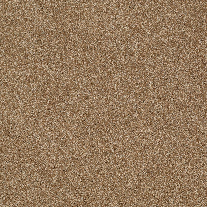 Shaw Floors Roll Special Xv925 Leather Bound