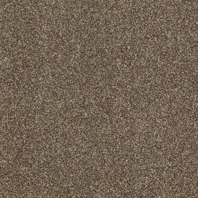 Shaw Floors Roll Special Xv925 Townhouse