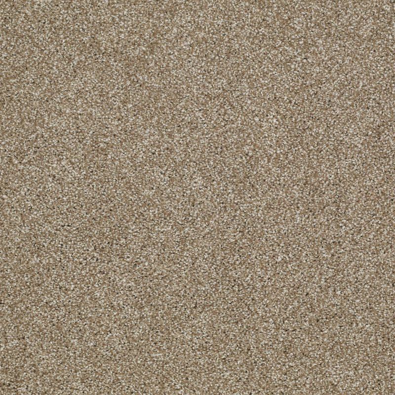 Shaw Floors Roll Special Xv925 Prairie