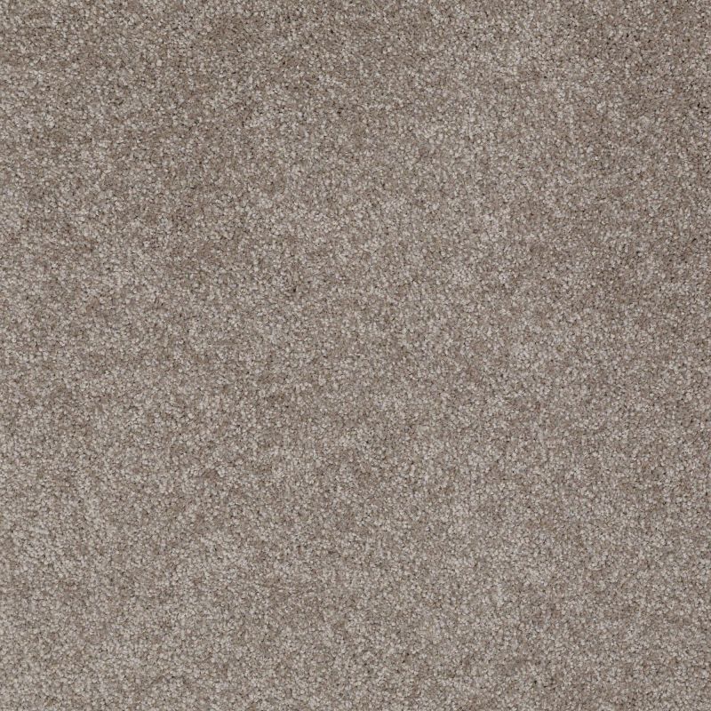 Shaw Floors Roll Special Xv930 Ashen