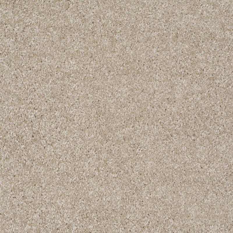 Shaw Floors Roll Special Xv974 Gallery