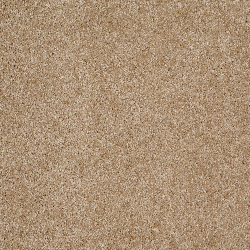 Shaw Floors Roll Special Xv974 Reed