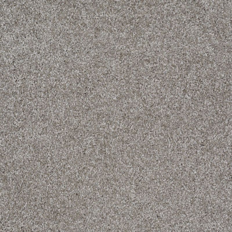 Shaw Floors Roll Special Xv974 Pewter