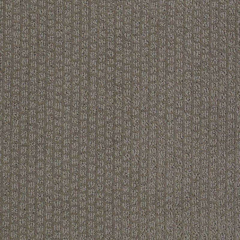 Shaw Floors Roll Special Xv988 Charcoal
