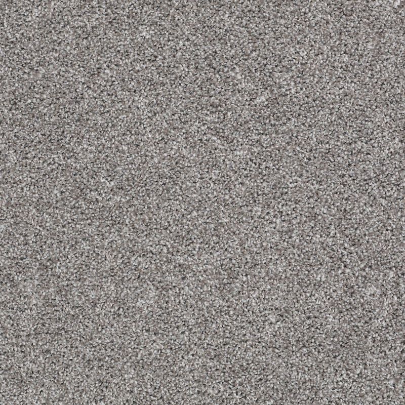 Shaw Floors Roll Special Xv992 Granite