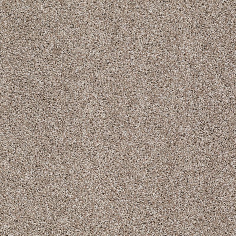 Shaw Floors Roll Special Xv992 Sandstone