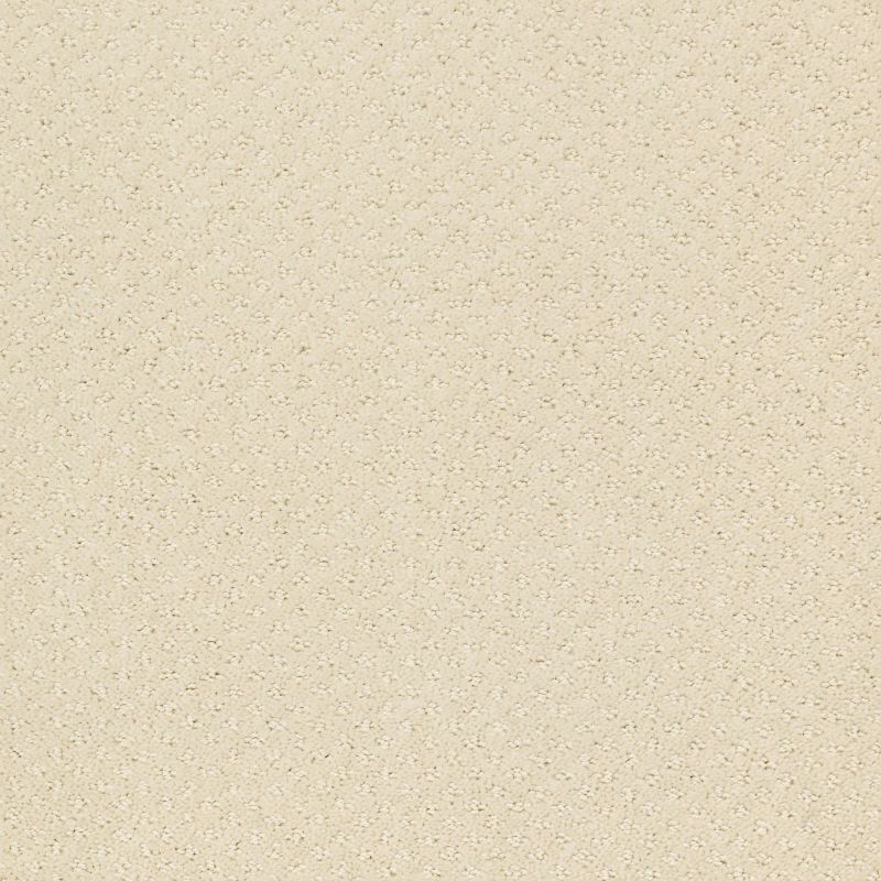 Shaw Floors Roll Special Xy093 Canvas