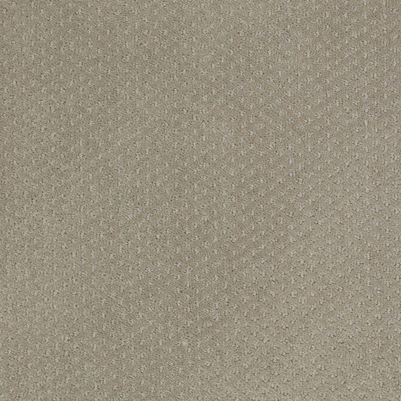 Shaw Floors Roll Special Xy093 Gray Flannel