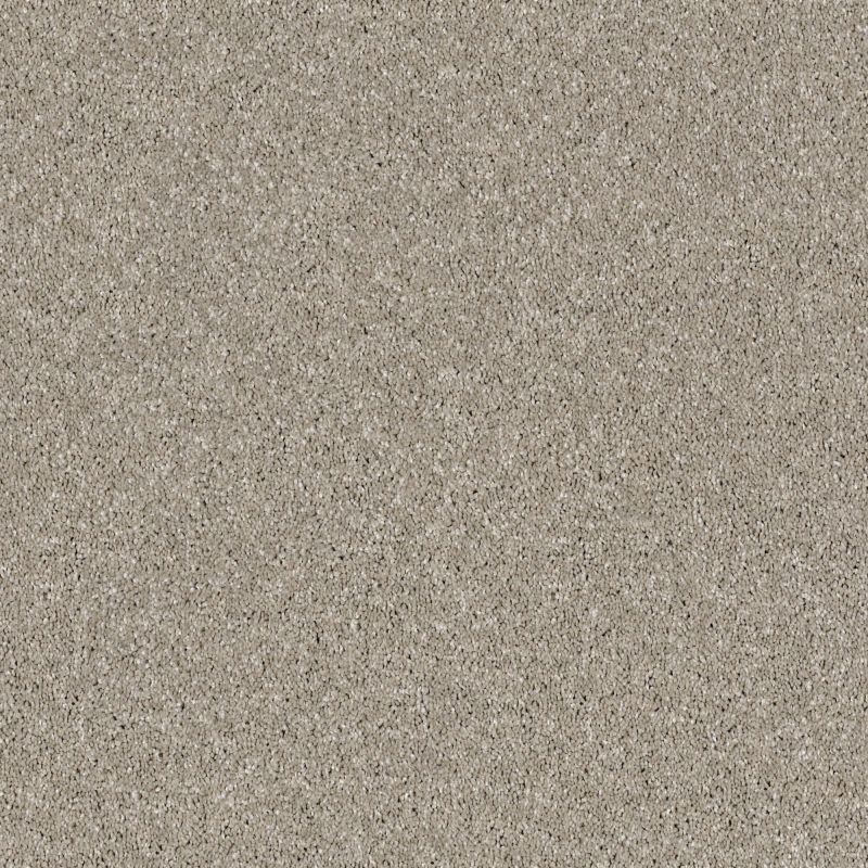 Shaw Floors Roll Special Xy160 Cloud Cover