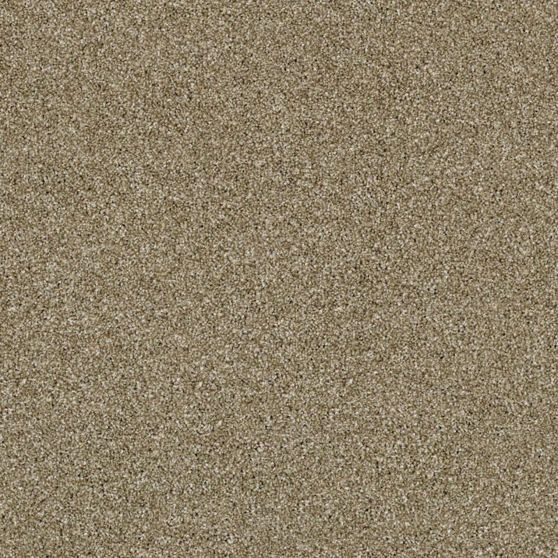 Shaw Floors Roll Special Xy168 Biscotti