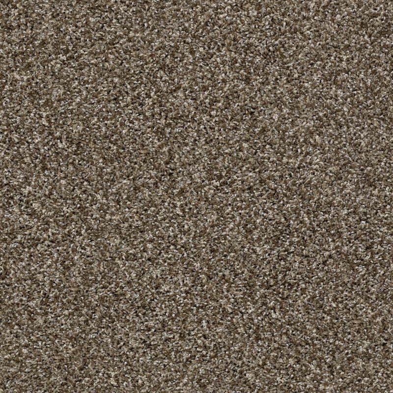 Shaw Floors Roll Special Xy178 Sweet Tea