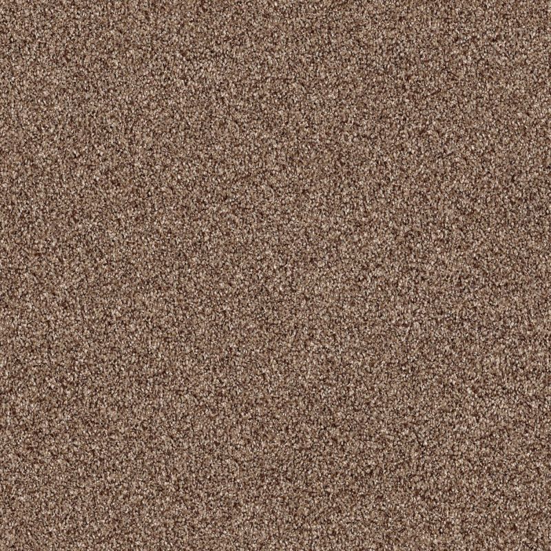 Shaw Floors Roll Special Xy184 Pine Cone
