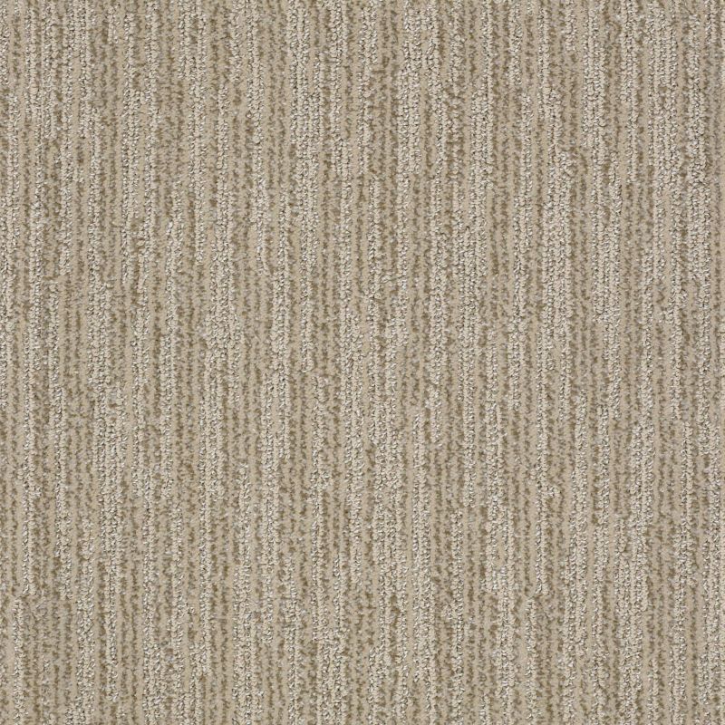 Shaw Floors Roll Special Xy191 Spice Cookie