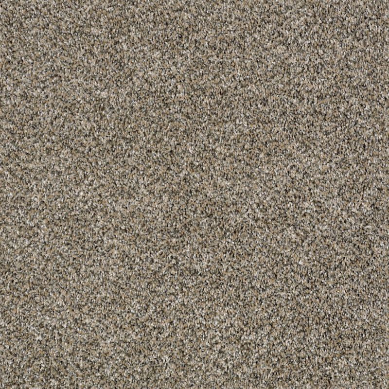 Shaw Floors Value Collections Xy194 Champion