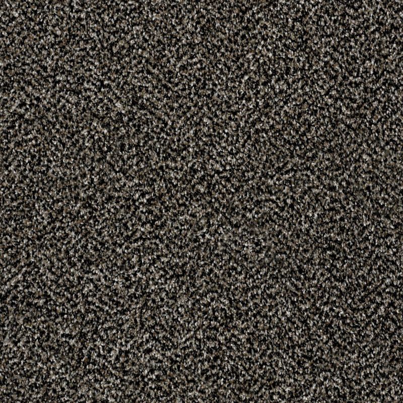 Shaw Floors Value Collections Xy194 Black Granite