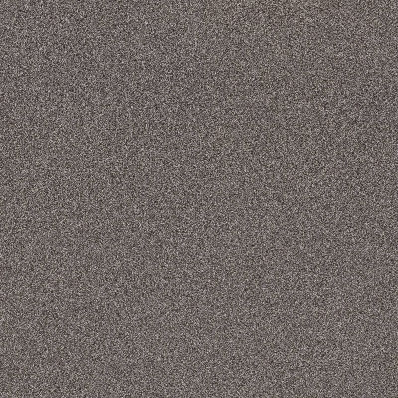 Shaw Floors Roll Special Xy324 Quarry