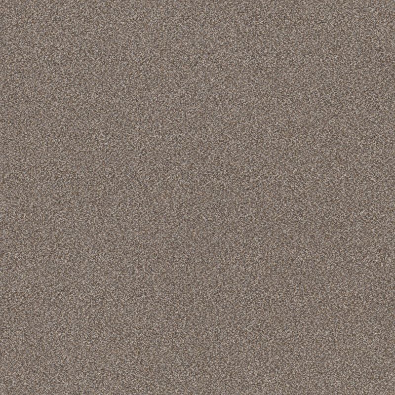 Shaw Floors Roll Special Xy324 Cobble Drive