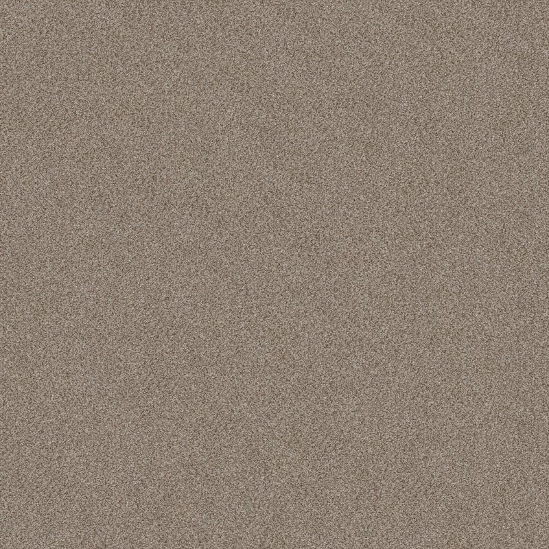 Shaw Floors Roll Special Xy324 Timeless Tan