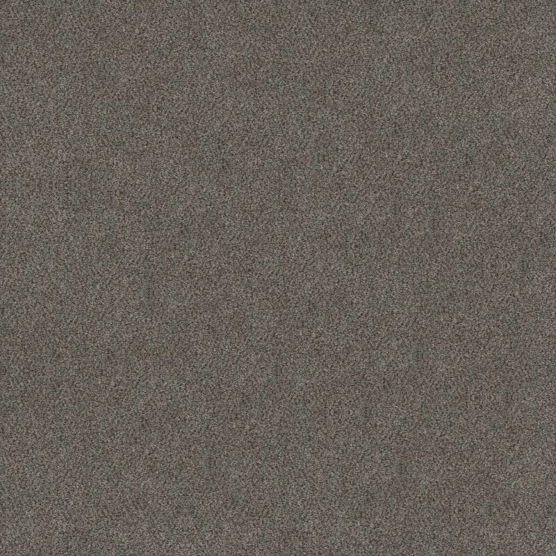 Shaw Floors Roll Special Xy326 Magnetic