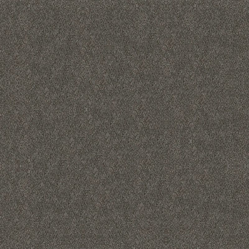 Shaw Floors Roll Special Xy326 Shadow