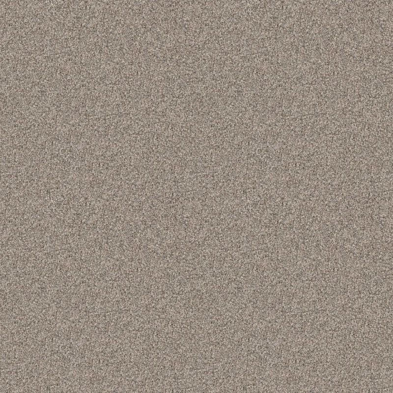 Shaw Floors Roll Special Xy334 Sandstone