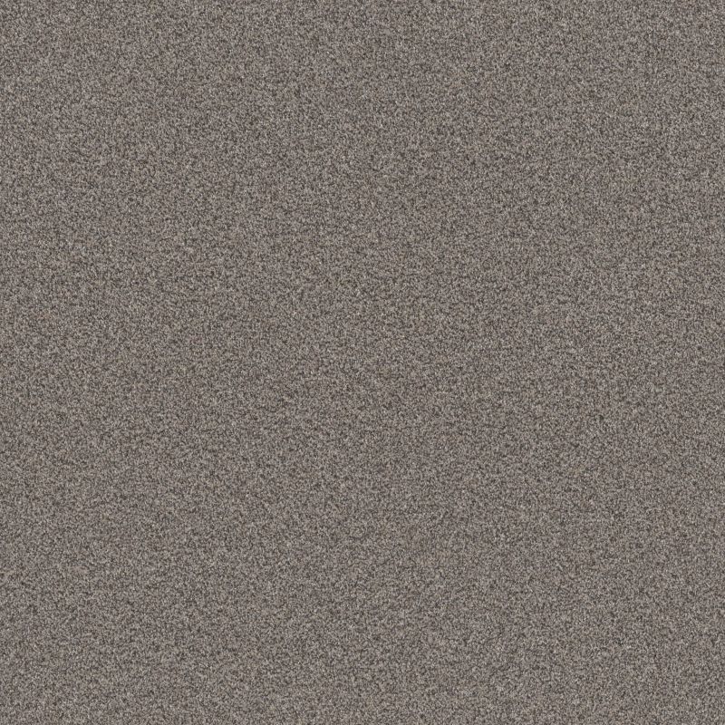 Shaw Floors Roll Special Xy334 Fossil Path