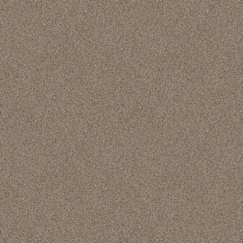 Shaw Floors Roll Special Xy334 Raw Wood