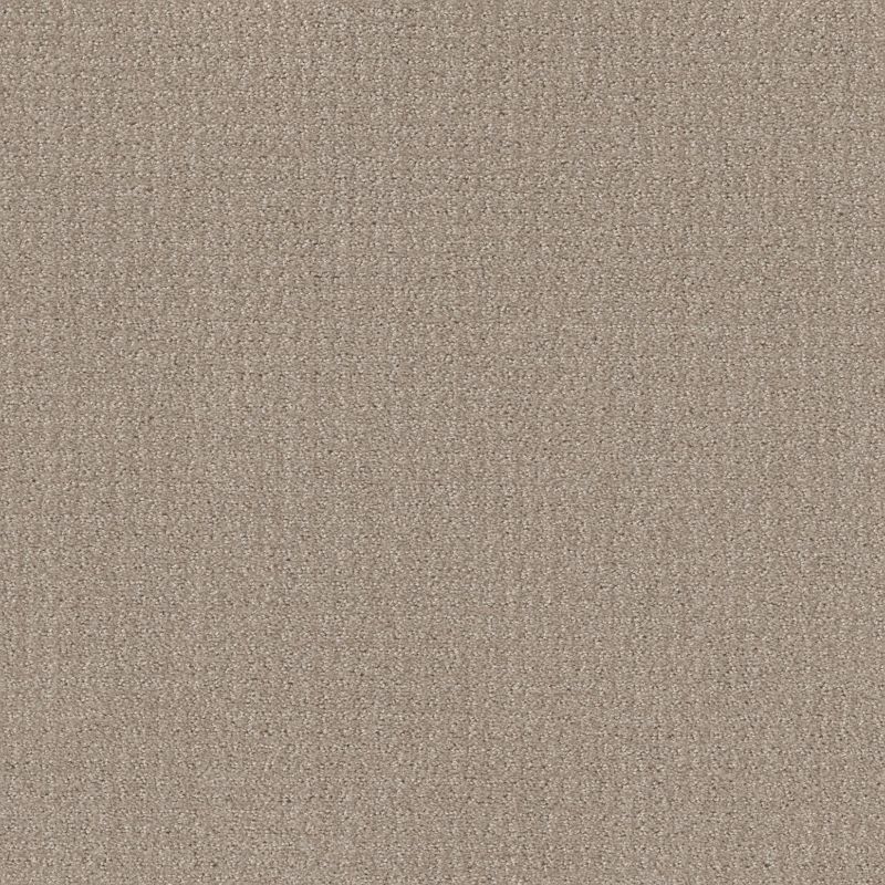 Shaw Floors Roll Special Xy337 Sand Swept
