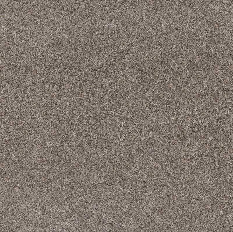 Shaw Floors Roll Special Xy350 Warm Light