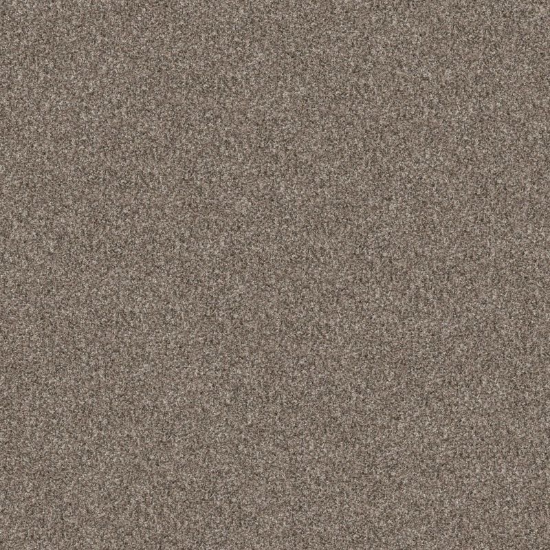 Shaw Floors Roll Special Xy351 Soft Sense