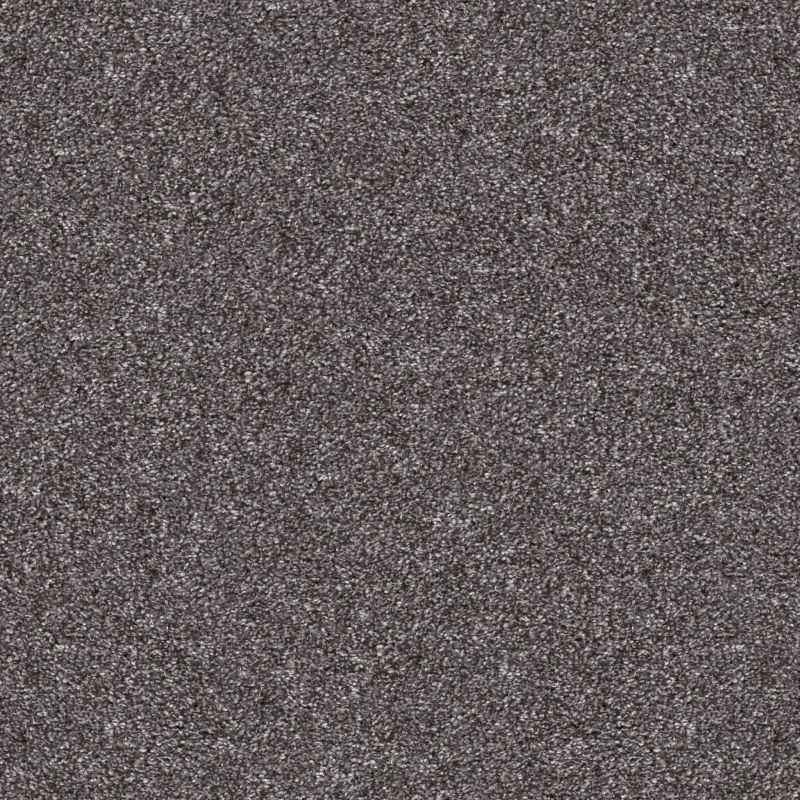 Shaw Floors Roll Special Xy351 Shadow