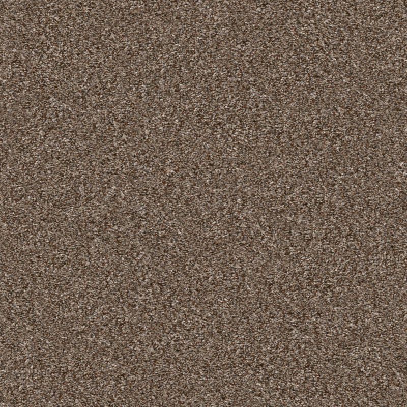 Shaw Floors Roll Special Xy351 Worn Path