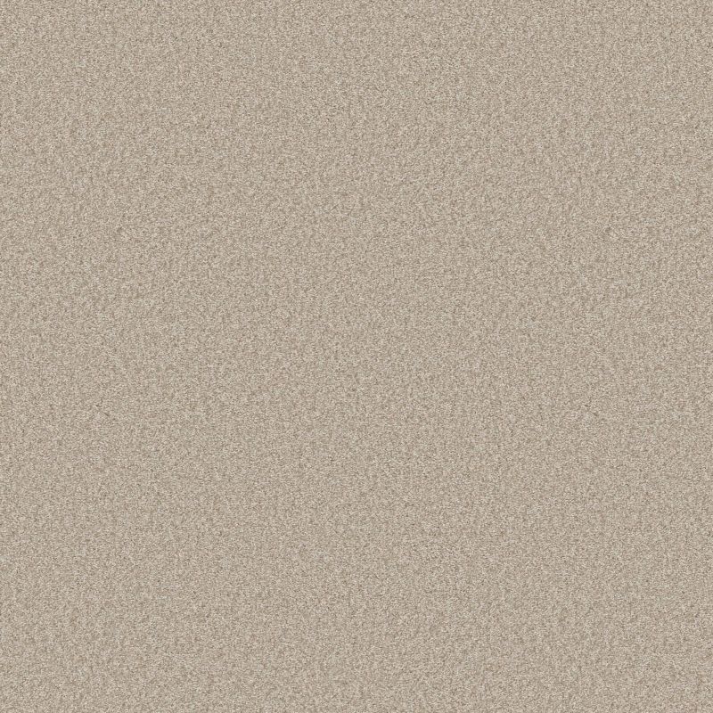 Shaw Floors Roll Special Xy352 Natural