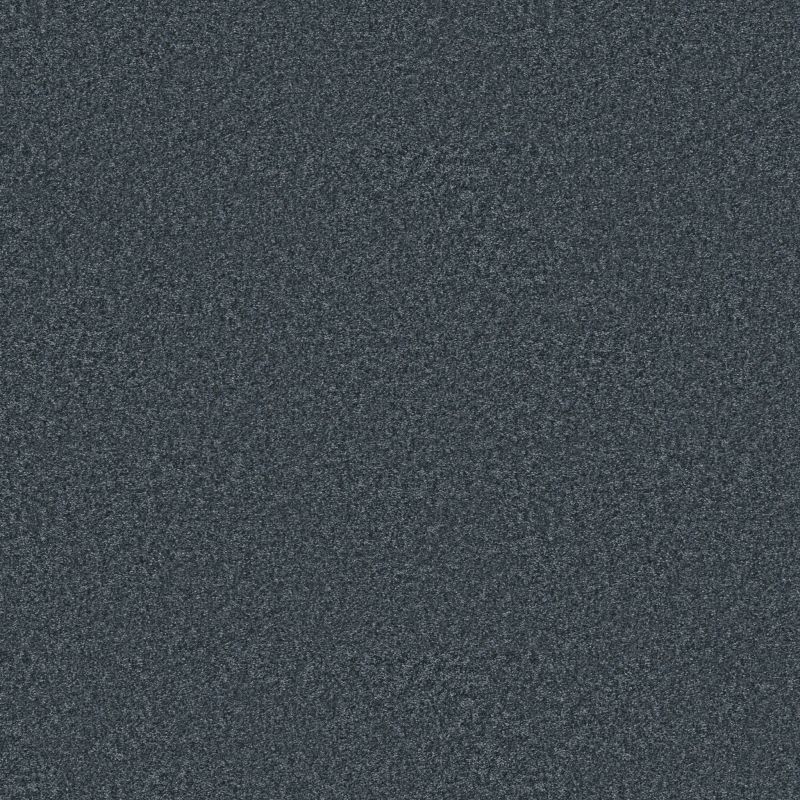 Shaw Floors Roll Special Xy352 Refined