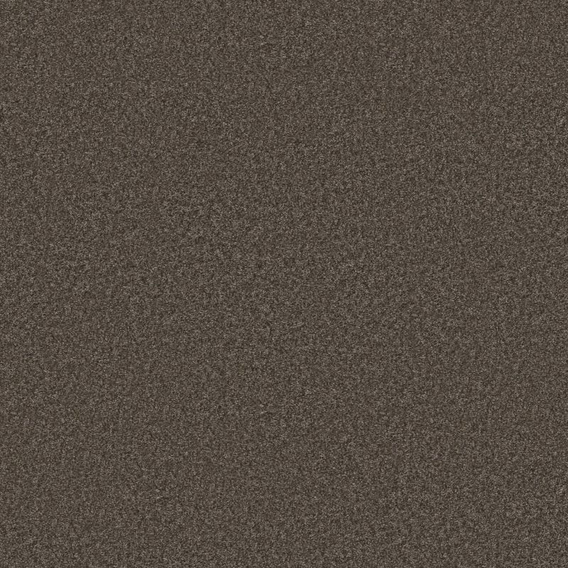 Shaw Floors Roll Special Xy354 Urban Rustic