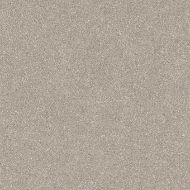 Shaw Floors Roll Special Xy356 Sculpture