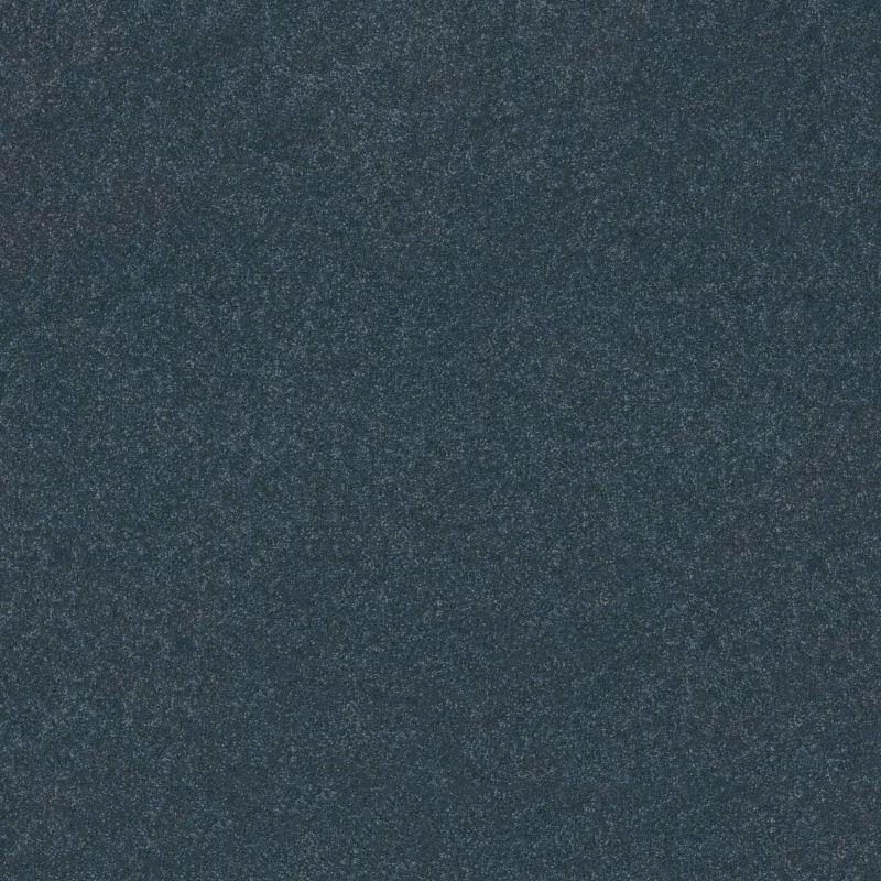Shaw Floors Roll Special Xy356 Refined