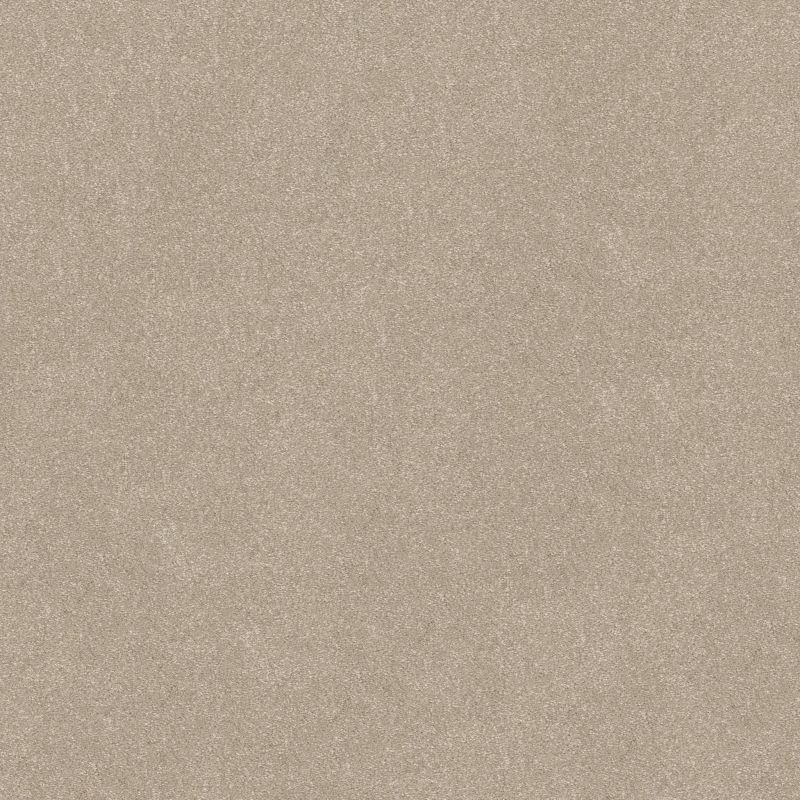 Shaw Floors Roll Special Xy357 Natural
