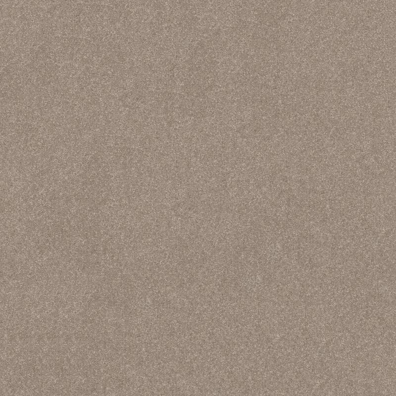 Shaw Floors Roll Special Xy357 Glacier