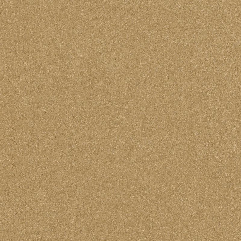 Shaw Floors Roll Special Xy357 Honeycomb