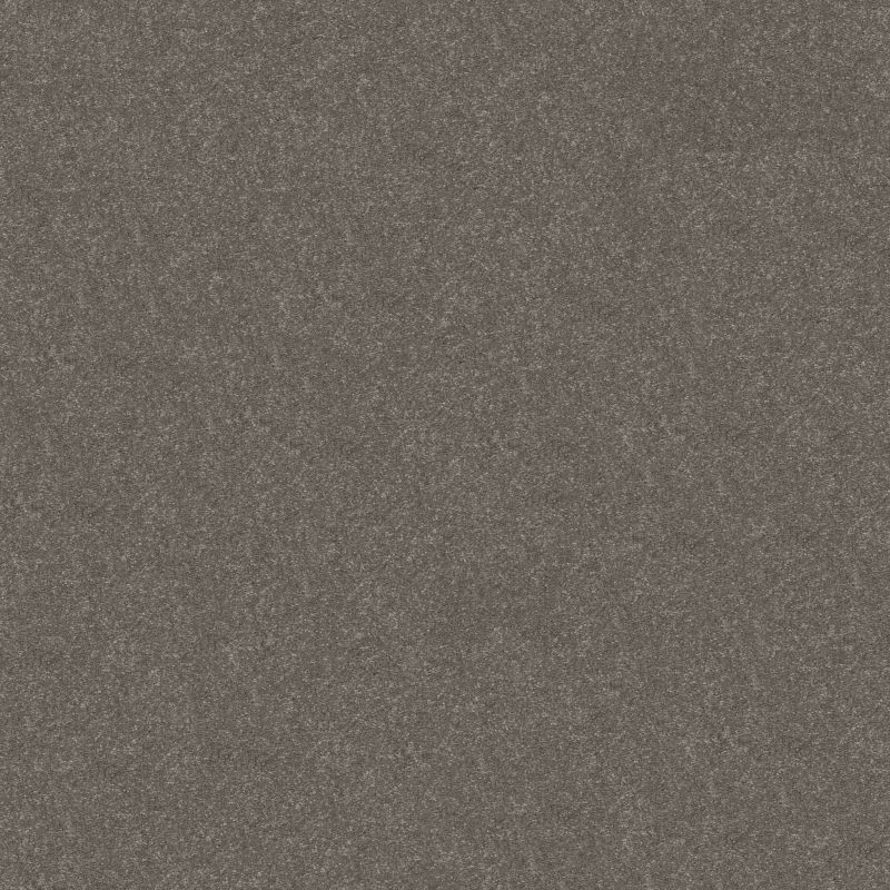 Shaw Floors Roll Special Xy357 Ashes