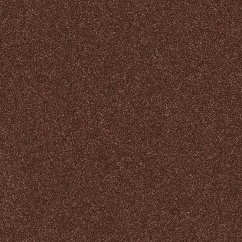 Shaw Floors Roll Special Xy357 Orange Oxide