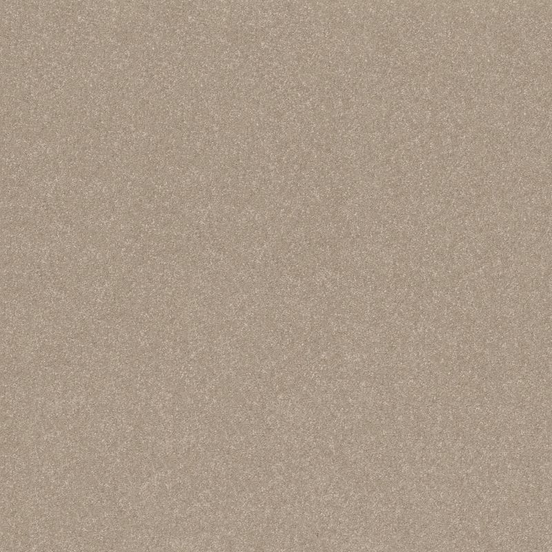 Shaw Floors Roll Special Xy358 Subtle Clay