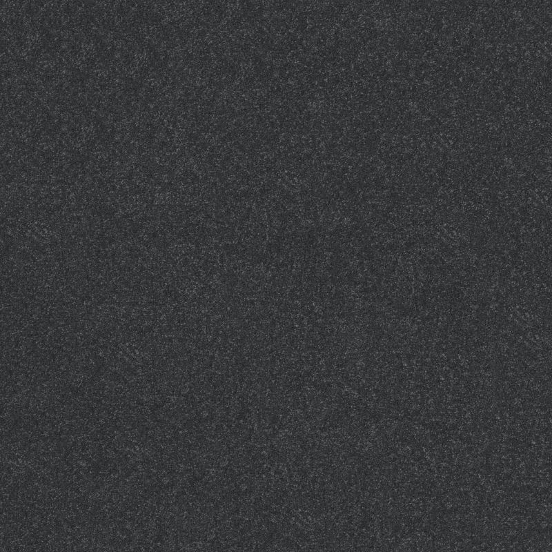 Shaw Floors Roll Special Xy358 Shadow