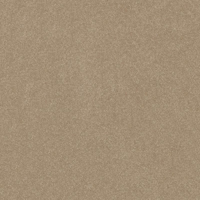 Shaw Floors Roll Special Xy358 Worn Path