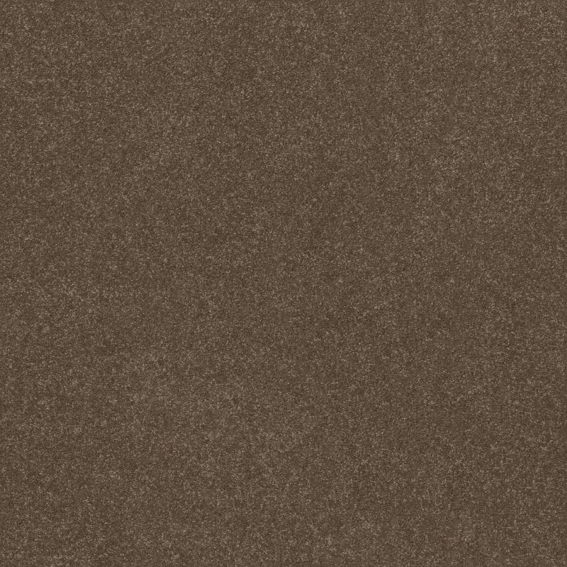 Shaw Floors Roll Special Xy358 Mission Ridge