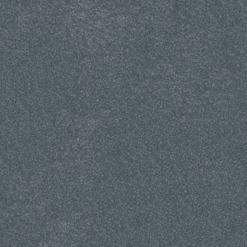 Shaw Floors Roll Special Xy359 Reflection