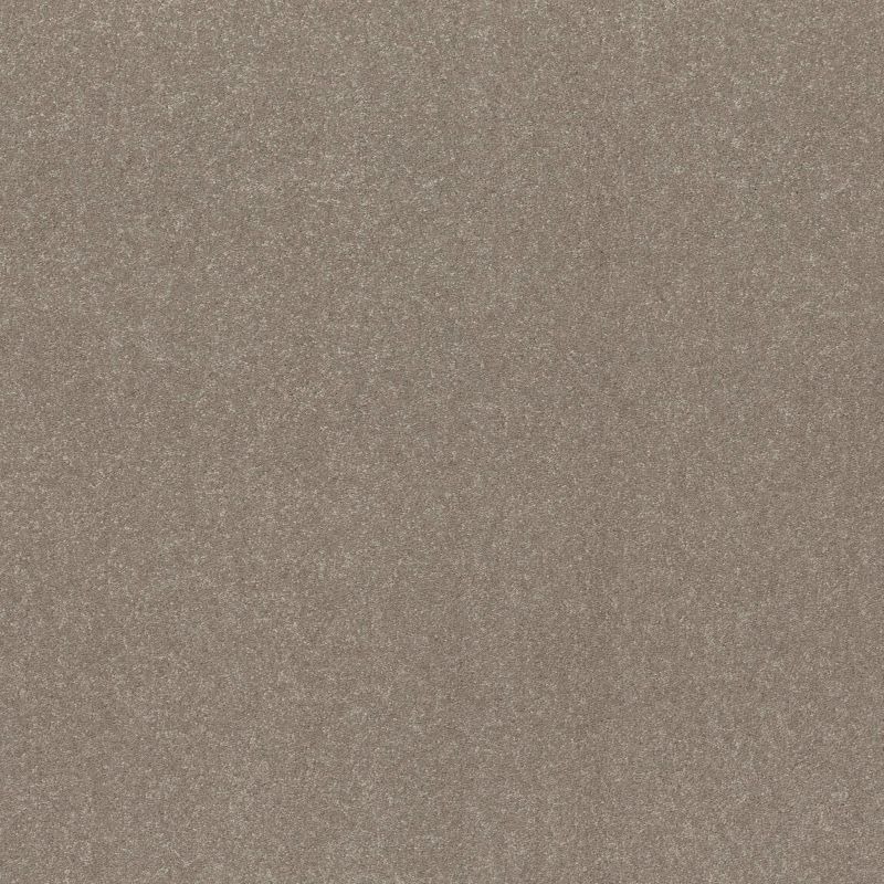 Shaw Floors Roll Special Xy360 Chic Greige