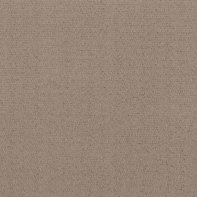 Shaw Floors Roll Special Xy362 Cameo