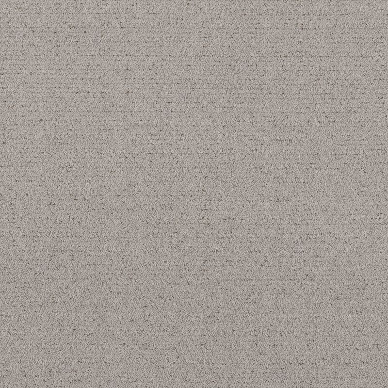Shaw Floors Roll Special Xy362 Gravity